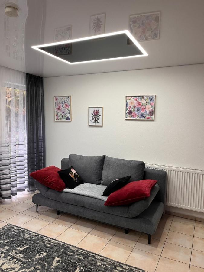 A&D Charmantes Apartment - Buehlertal Bei Buehl, Baden-Baden & Schwarzwald Eksteriør bilde
